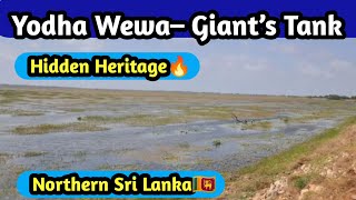 Yodha Wewa The Giants Tank Of Northern Sri Lanka Hidden Heritage Near Mannar