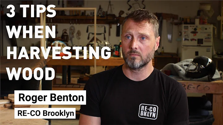 3 Tips on Harvesting Logs From RE-CO Brooklyn's Ro...