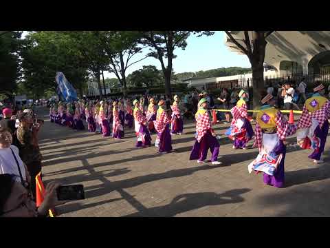 乱気流・ＮＨＫ前ストリート－スーパーよさこい２０１７