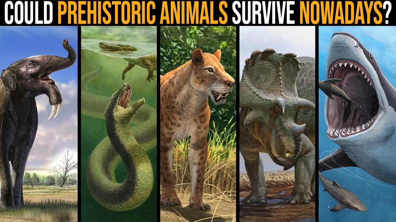 Could Prehistoric Animals Survive Nowadays?