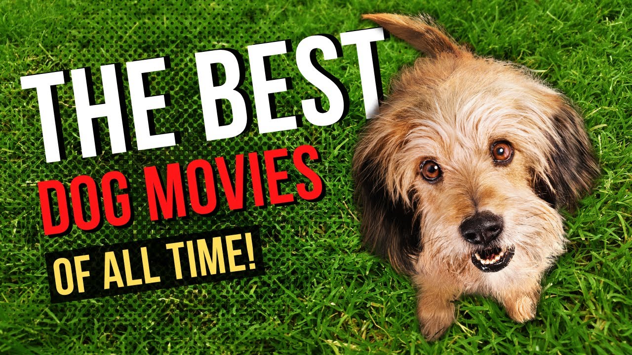 Top 10 Dog Movies of All Time
