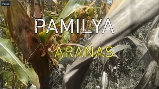 Esp Video Doentary 2019 Capucao C