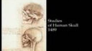 Da Vinci - Anatomy Studies Guide