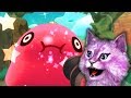 СИМУЛЯТОР ФЕРМЫ СЛИЗНЕЙ #3 ОН ЛОПНУЛ!  slime rancher говорящая КОШКА ЛАНА играет