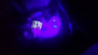 Black Light LED Torch