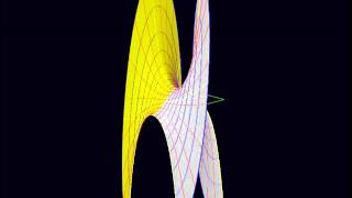 Complex Cosine