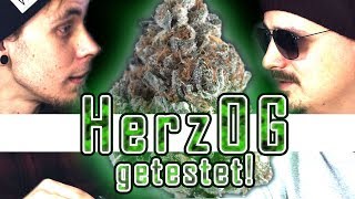 Rapper Herzog präsentiert EIGENE Gras-SORTE!