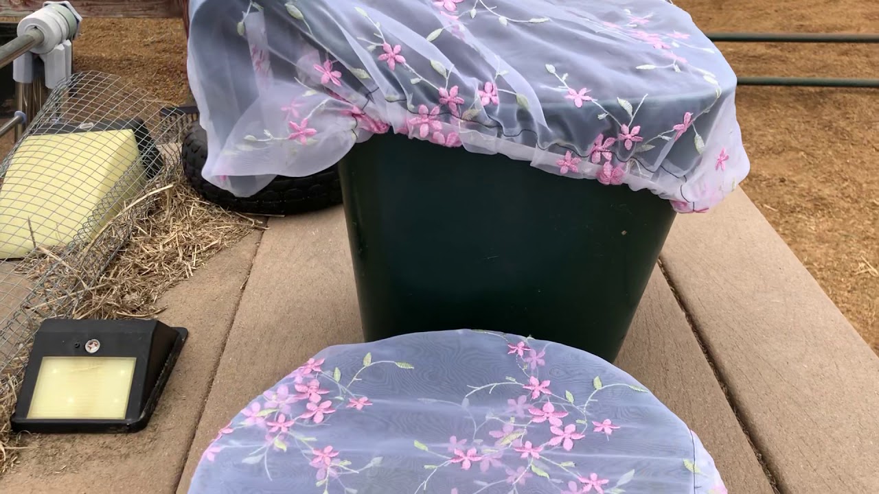 DIY : Mesh Covers for Feed Buckets