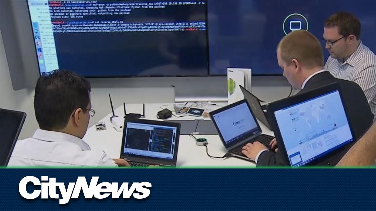 Aberta Software Engineer Alberta wants to attract more software engineers - YouTube