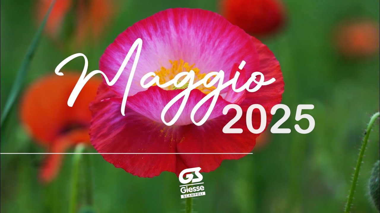 Maggio | I migliori tessuti per le tue idee creative 🩷