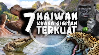7 HAIWAN KUASA GIGITAN TERKUAT