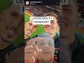 LEVERKUSEN HOLT DEN ERSEN SAISONSIEG🖤❤️MORGEN noch ein Video dazu #leverkusen #viral #frankfurt #dfb