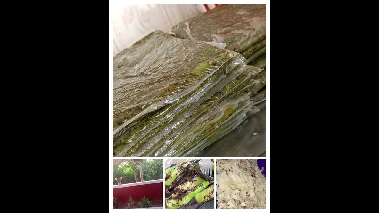 بداية تحظيرات عرس💃 في دارنا 🪐 ميناج شخشوخة  😁فلفل🌶️. روتين متنوع الجزء الاول😉@الجميع بنت العز@