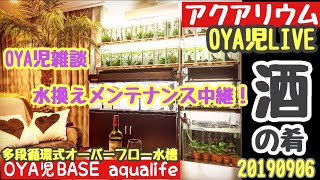 【OYA児LIVE／アクアリウム 】今宵はオヤ児談義 & 自作多段循環式オーバーフロー水槽水換えメンテナンス中継！／アピスト、古代魚、キンペコ、アルタム、OYA児BASE、20190906