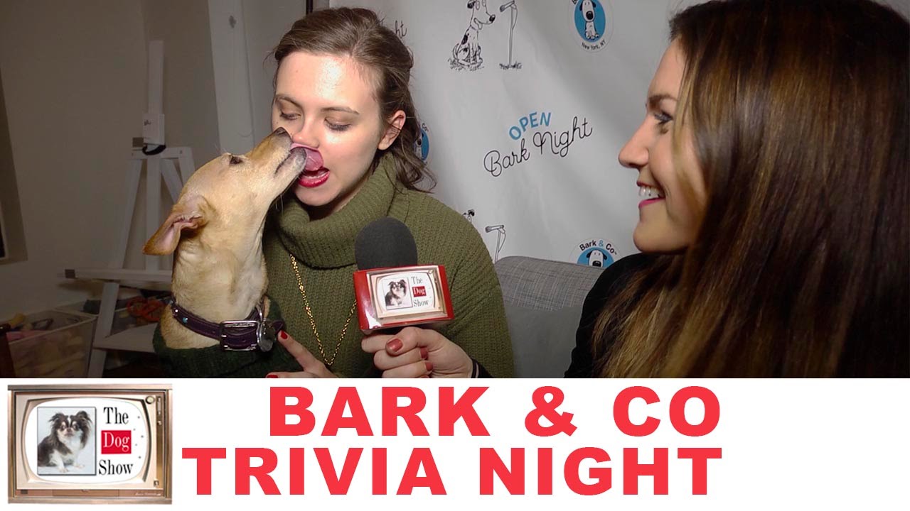 Bark and Co Trivia Night The Dog Show NYC
