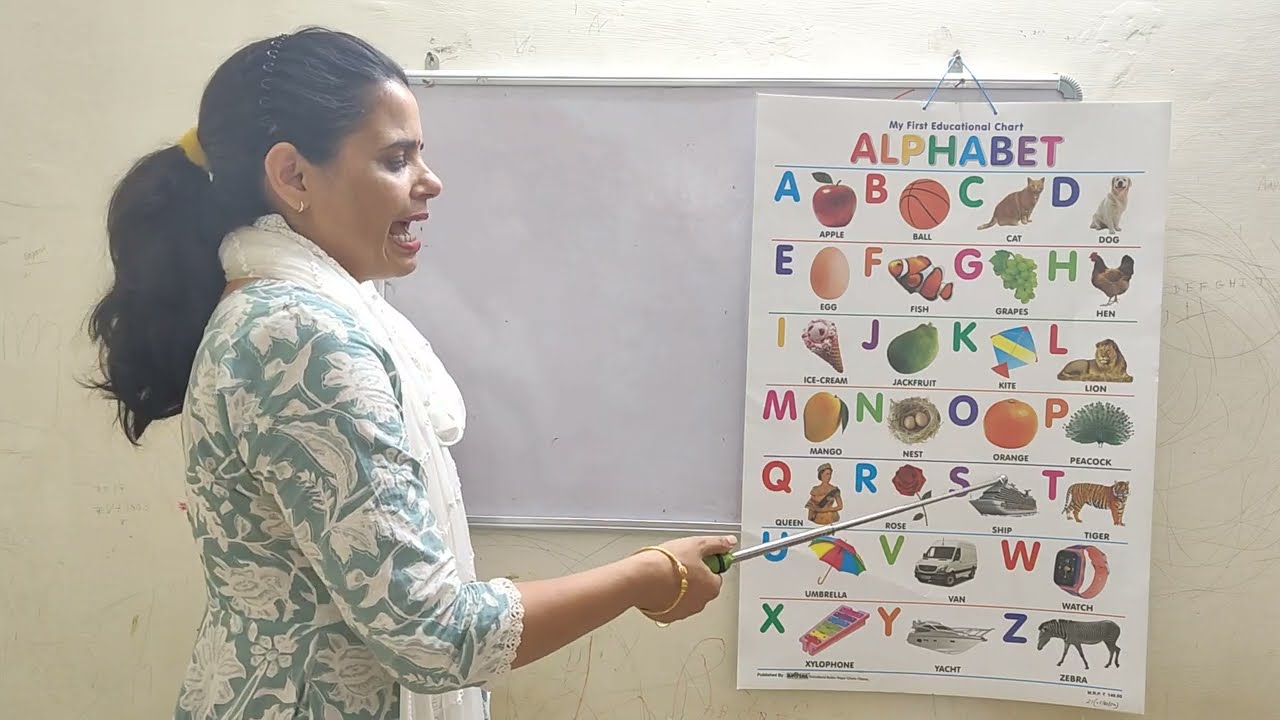 Domestic animals name and English alphabets learning for summer vacation series learning for kids