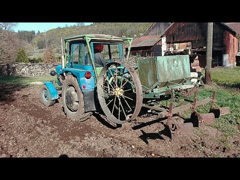 Video: Brambory: 3týdenní Technika Přípravy Výsadby