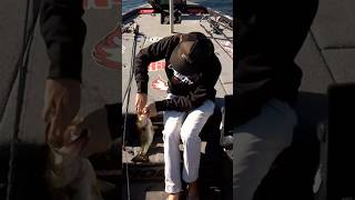 Fisher Anaya getting another good bite