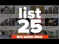 25 MOST POPULAR List25 Videos Ever