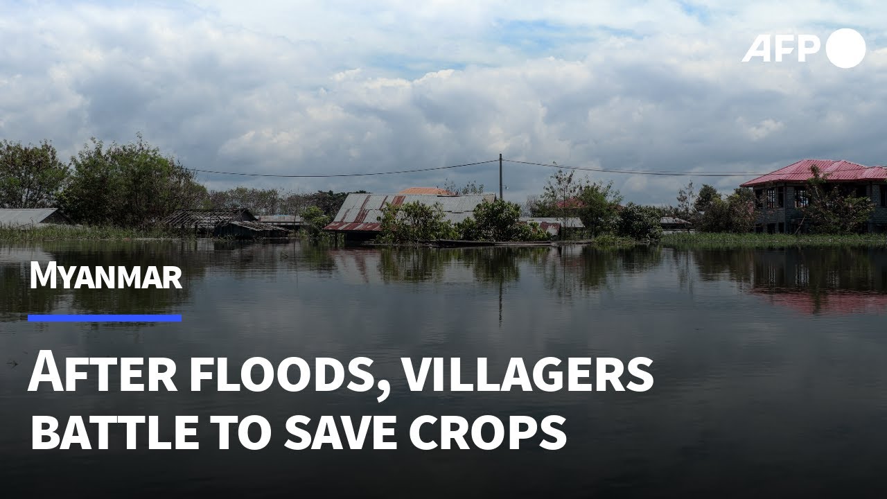 Myanmar floods: Death toll rises, with hundreds of thousands in need ...