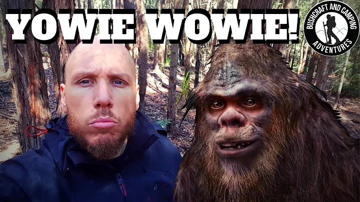 Evidence of YOWIE visits to my Watagans basecamp?! || Yowie call RECORDING || Australian BIGFOOT