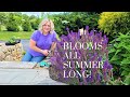 How to Prune Salvia to Get Continuous Blooms!! Learned this by Accident! My Selective Pruning Method