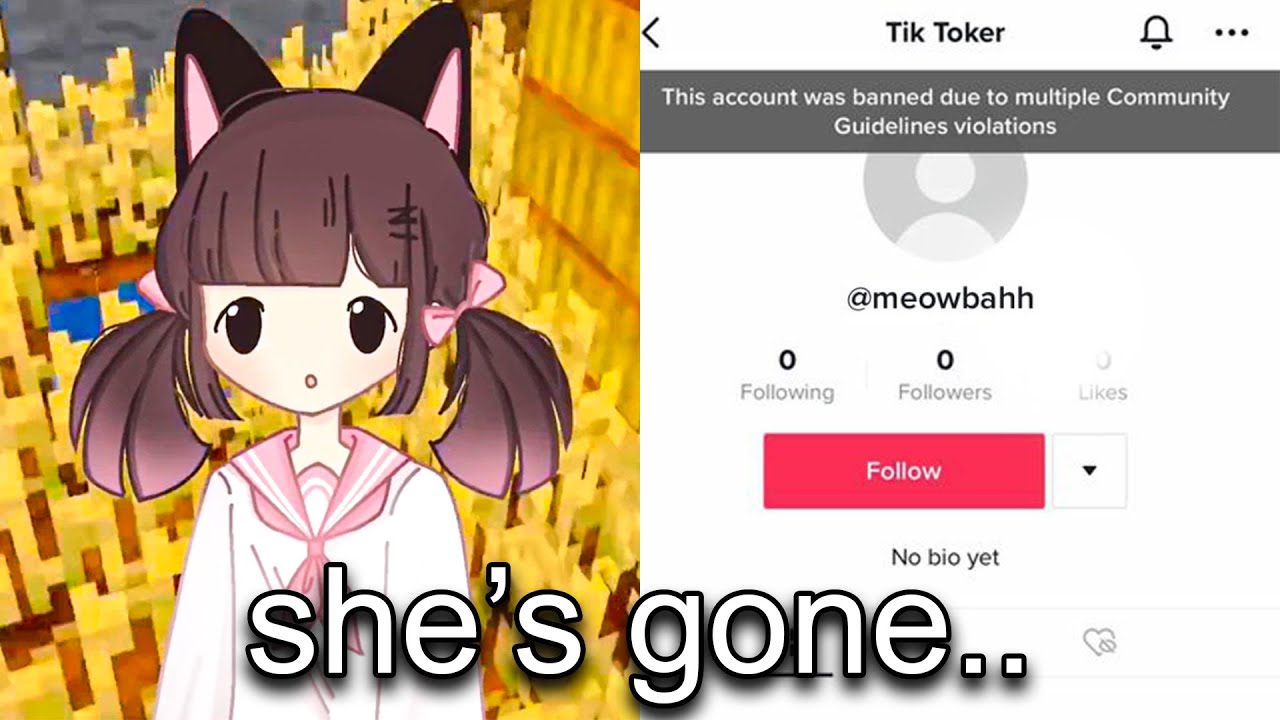 MEOWBAHH STAY WINNING TikTok meowhahh tape - iFunny Brazil