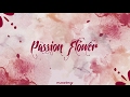 Mamamoo   passion flower    color coded in hanromeng lyrics