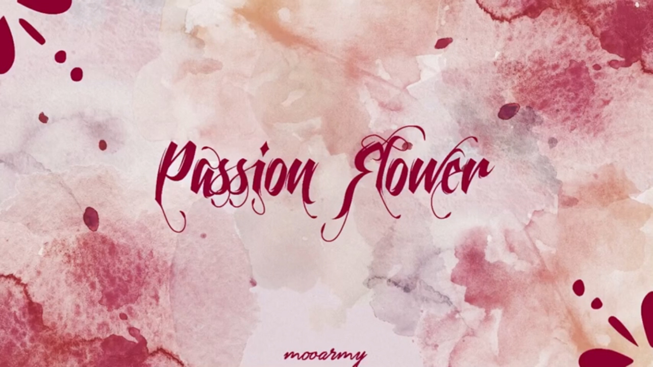 Mamamoo (마마무) Passion Flower (정열의 꽃) — [Color Coded in Han/Rom/Eng