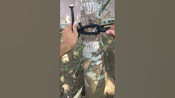 Incredible Loop Knot With Quick Release #survivalknots #rockclimbingknot #knot