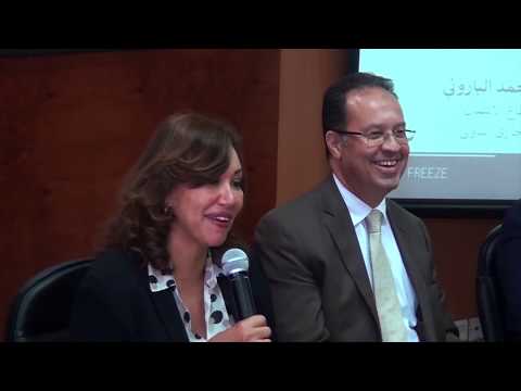 هل تدخل مصر في فقاعة عقارية تهدد الاقتصاد جزء 1 6