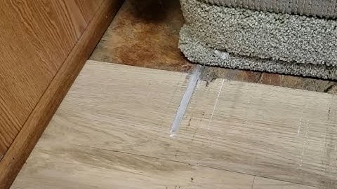WARNING Think Twice Before Removing Carpet From Your RV or Motor Home to Install Laminate Flooring