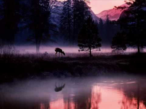 Roger Ekelund - Misty Meadows