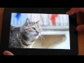 プロヴァンスの猫たち　Kindle