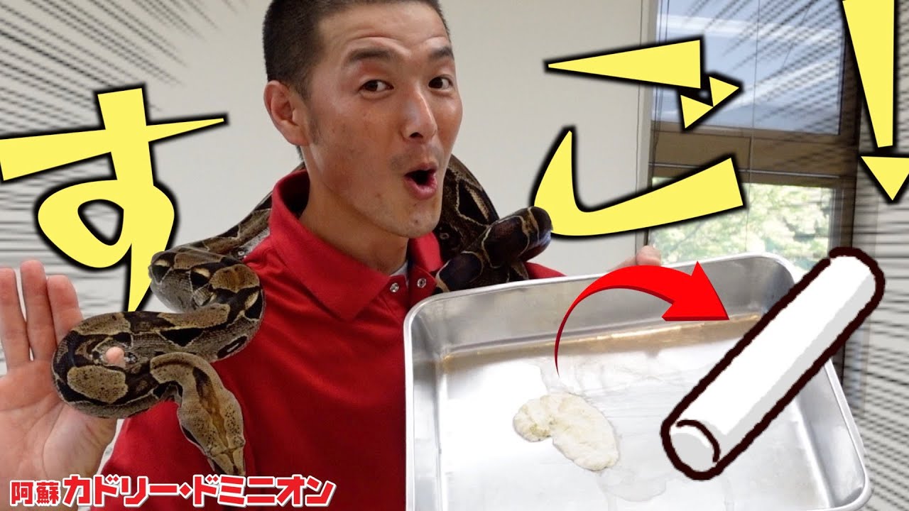 YouTube YouTube