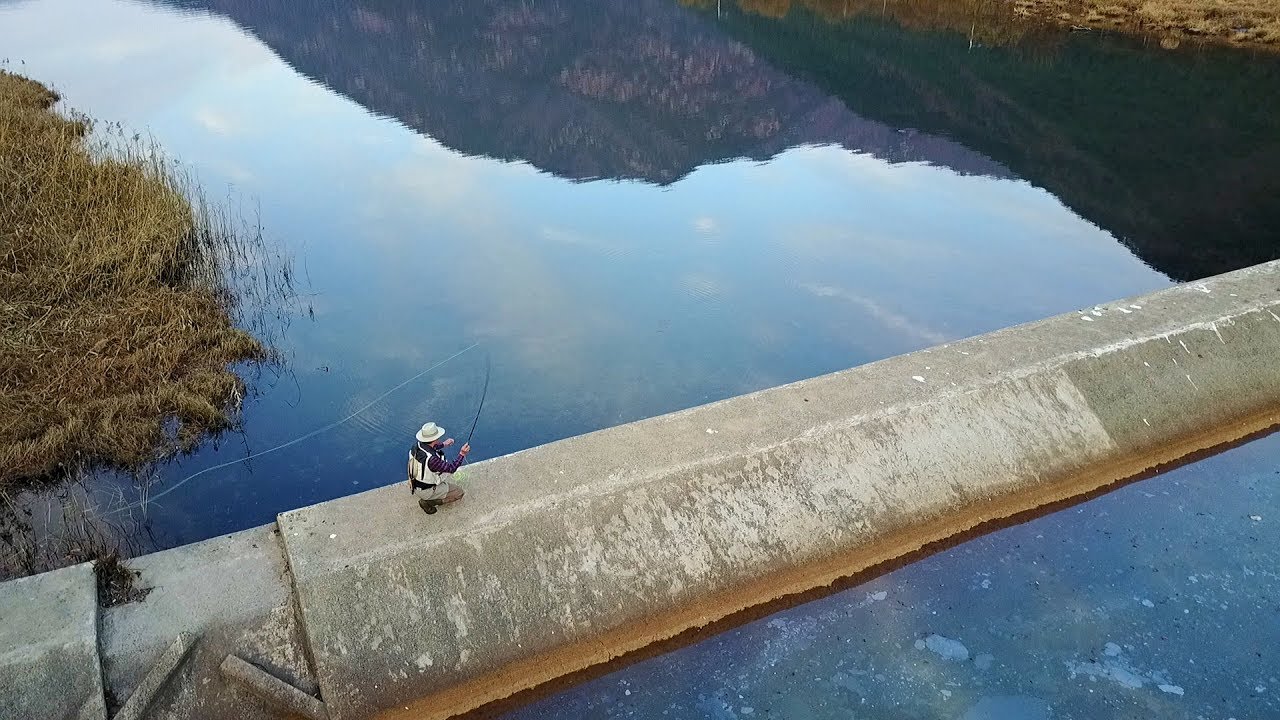 Fly fishing - Episode 24 -  Hemibarbus labeo (누치 플라이낚시)