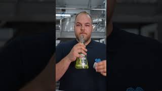 Naravna čistila brez kompromisov 🌱
