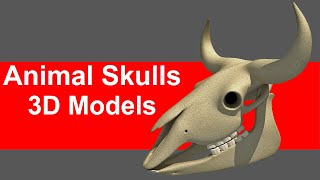 Animal Skulls 3D Models