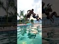 #backflip in pool 🏊‍♂️