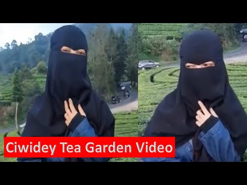 Ciwidey Tea Garden Viral Video