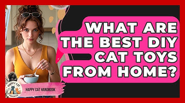 What Are The Best DIY Cat Toys From Home? - Happy Cat Handbook