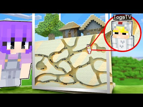 Tô Gà Thử Thách 24H Sống Bên Trong Tổ Kiến Tí Hon Trong Minecraft!