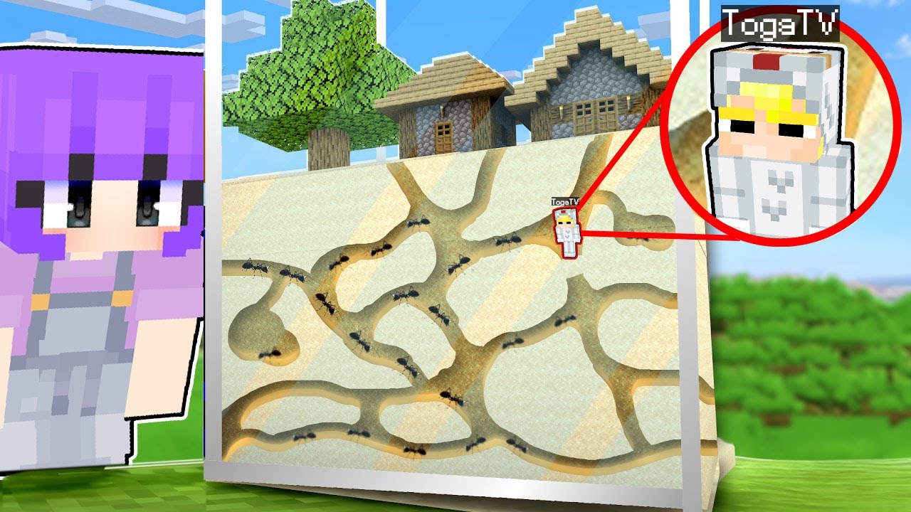 Tô Gà Thử Thách 24H Sống Bên Trong Tổ Kiến Tí Hon Trong Minecraft!