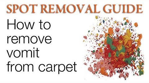 How to Clean Vomit from Carpet | Spot Removal Guide