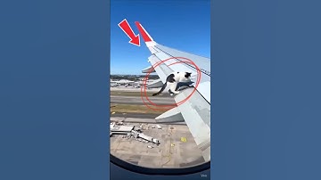 Cat stuck in flying plane wing!