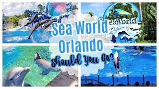 SEAWORLD ORLANDO REVIEW & HIGHLIGHTS | THINGS TO DO AT SEAWORLD | SEAWORLD DOLPHIN ENCOUNTER