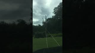 Tree explodes when ripped down