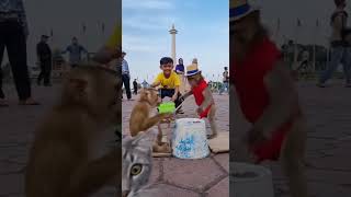 Download Lagu Goyang Monas: Monyet Ibukota #MonasLucu #MonyetJakarta #JogetHewan #4KRealLife MP3