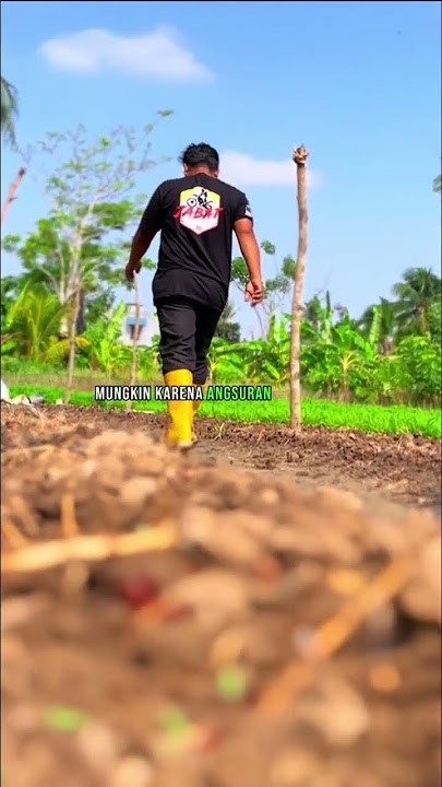 Petani muda #petanimuda