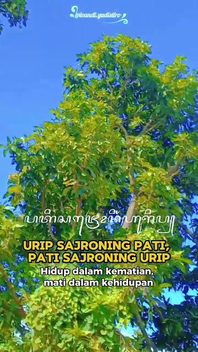 Titis Tulis Tanpa Papan